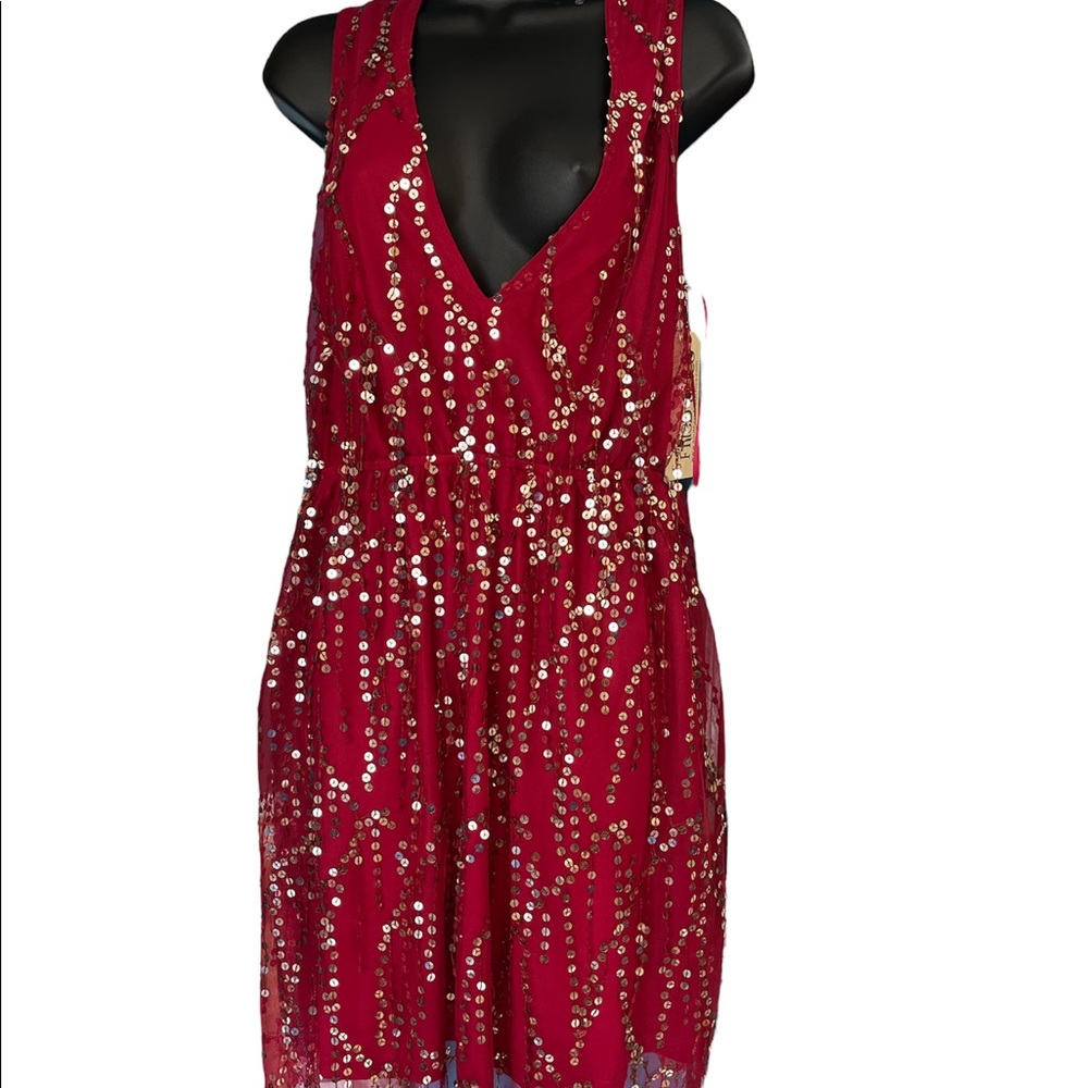 NWT fun dress with Lots of sequins!!